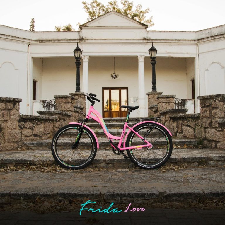 Bicicleta venzo frida love r26