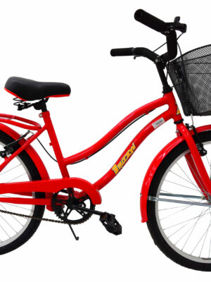 Bicicleta Paseo Bruzzoni Primavera Rodado 24