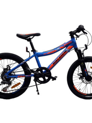 Bicicleta Raleigh Rowdy Mtb Rodado 20 7 Vel Frenos A Discos