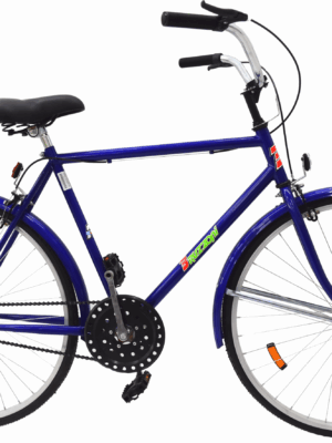Bicicleta Rodado 28 Bruzzoni Retro Sport