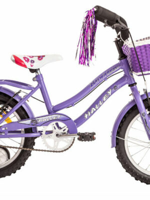 Bicicleta Rodado 16 Nena Primavera Bruzzoni