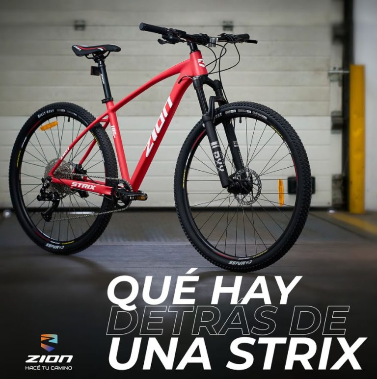 NUEVA Zion Strix Rodado 29 1×11 Velocidades Frenos Hidráulicos