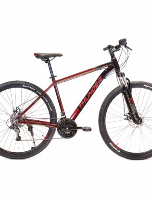 Bicicleta Mtb Thunder Sky 1.0 Rod 29 21 Vel Frenos A Discos