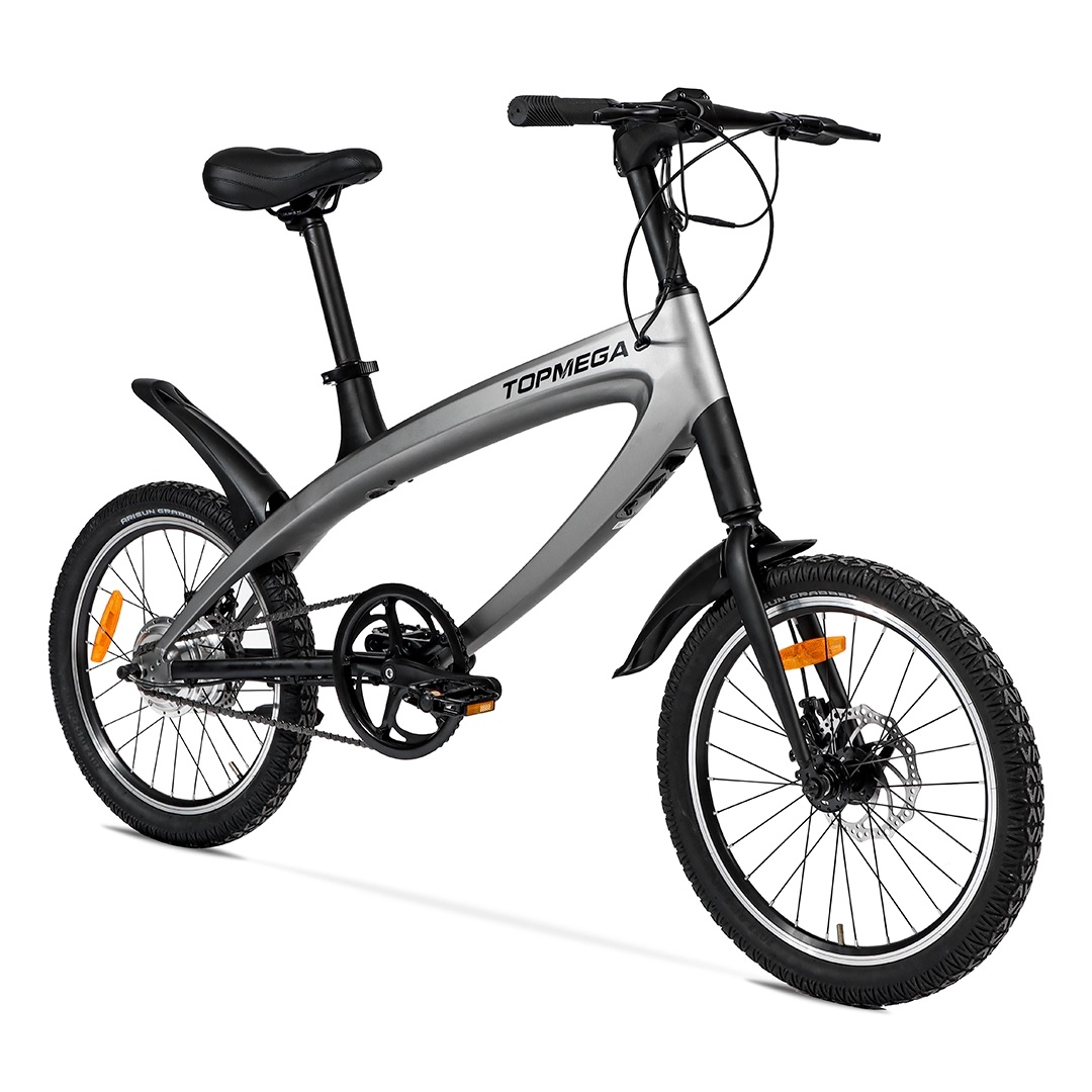 Bicicleta Eléctrica Topmega E-alioth Rodado 20 250w 4 Modos
