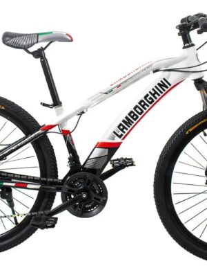 Bicicleta Mtb Rodado 24 Lamborghini 21 Vel Frenos A Discos